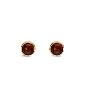 Gold Vermeil Amber Round Stud Earrings