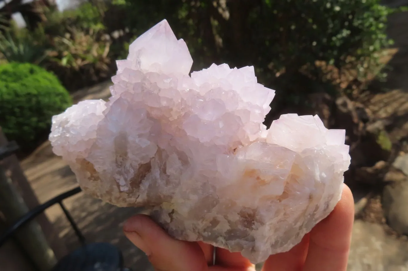 Natural Cactus Flower Spirit Quartz Clusters x 6 From Boekenhouthoek, South Africa