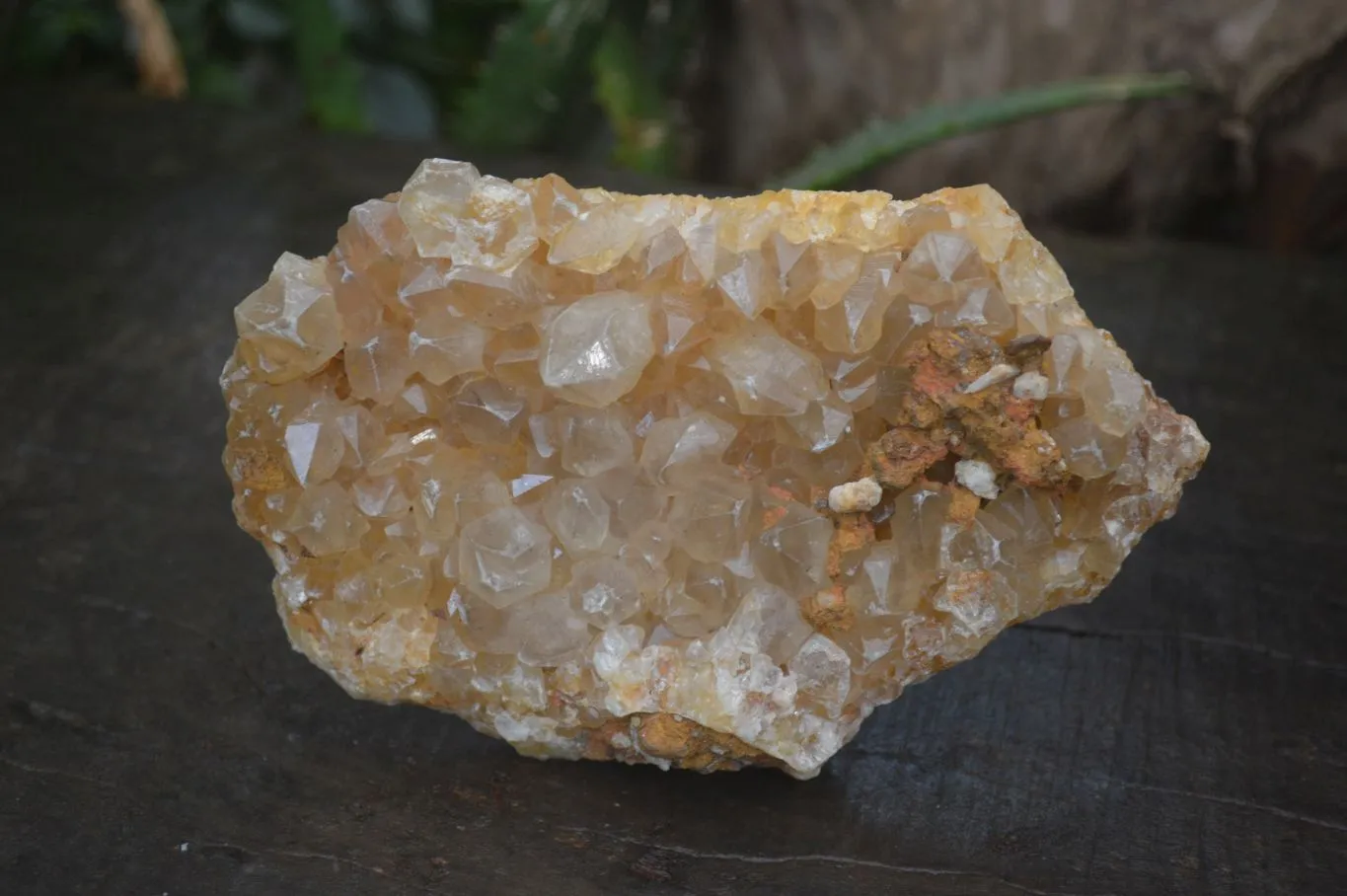 Natural Golden Limonite Quartz Clusters x 3 From Solwezi, Zambia