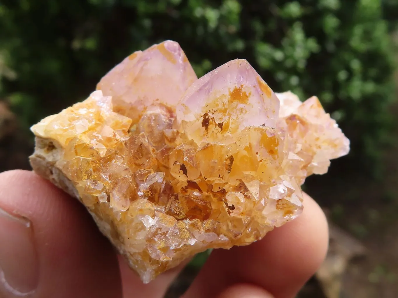 Natural Mixed Selection Of Small Spirit Quartz Clusters  x 24 From Boekenhouthoek, South Africa