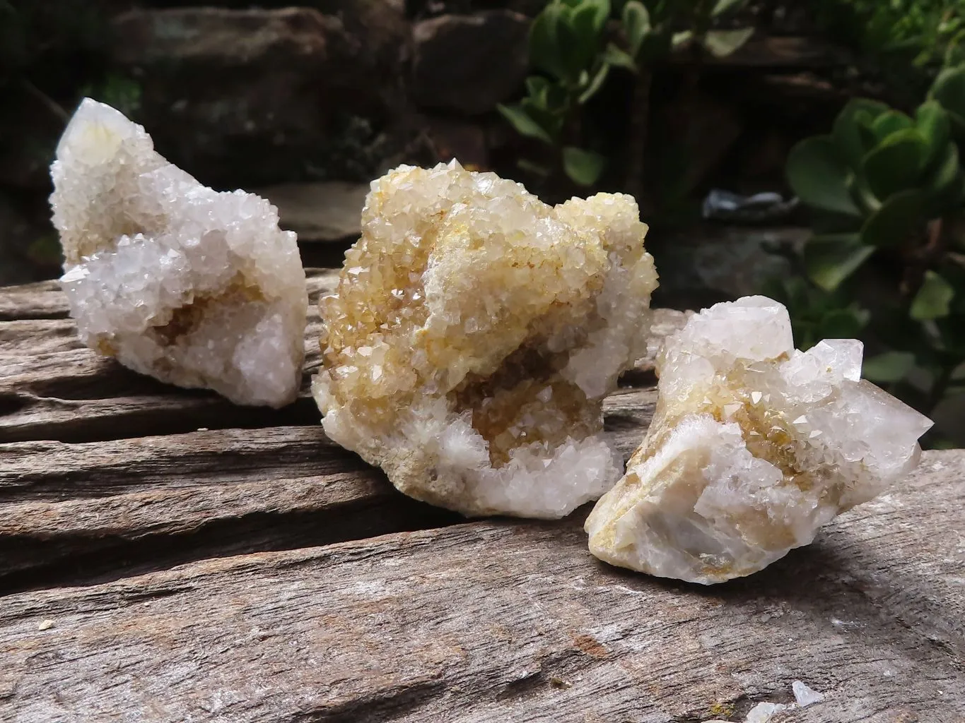 Natural Mixed Selection Of Small Spirit Quartz Clusters  x 24 From Boekenhouthoek, South Africa