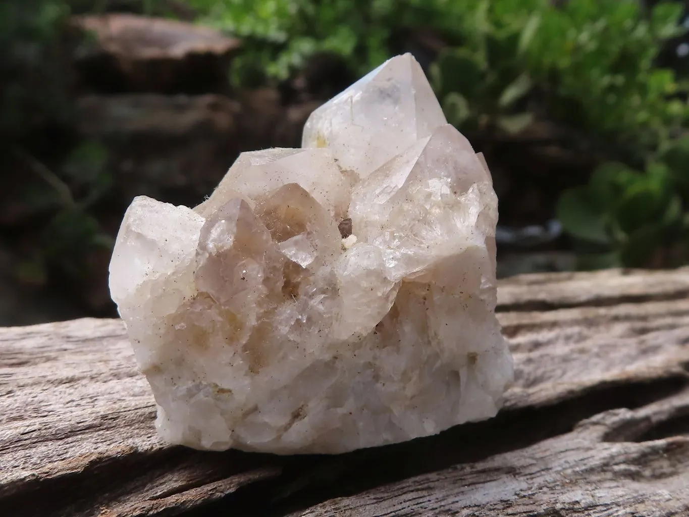 Natural Mixed Selection Of Small Spirit Quartz Clusters  x 24 From Boekenhouthoek, South Africa